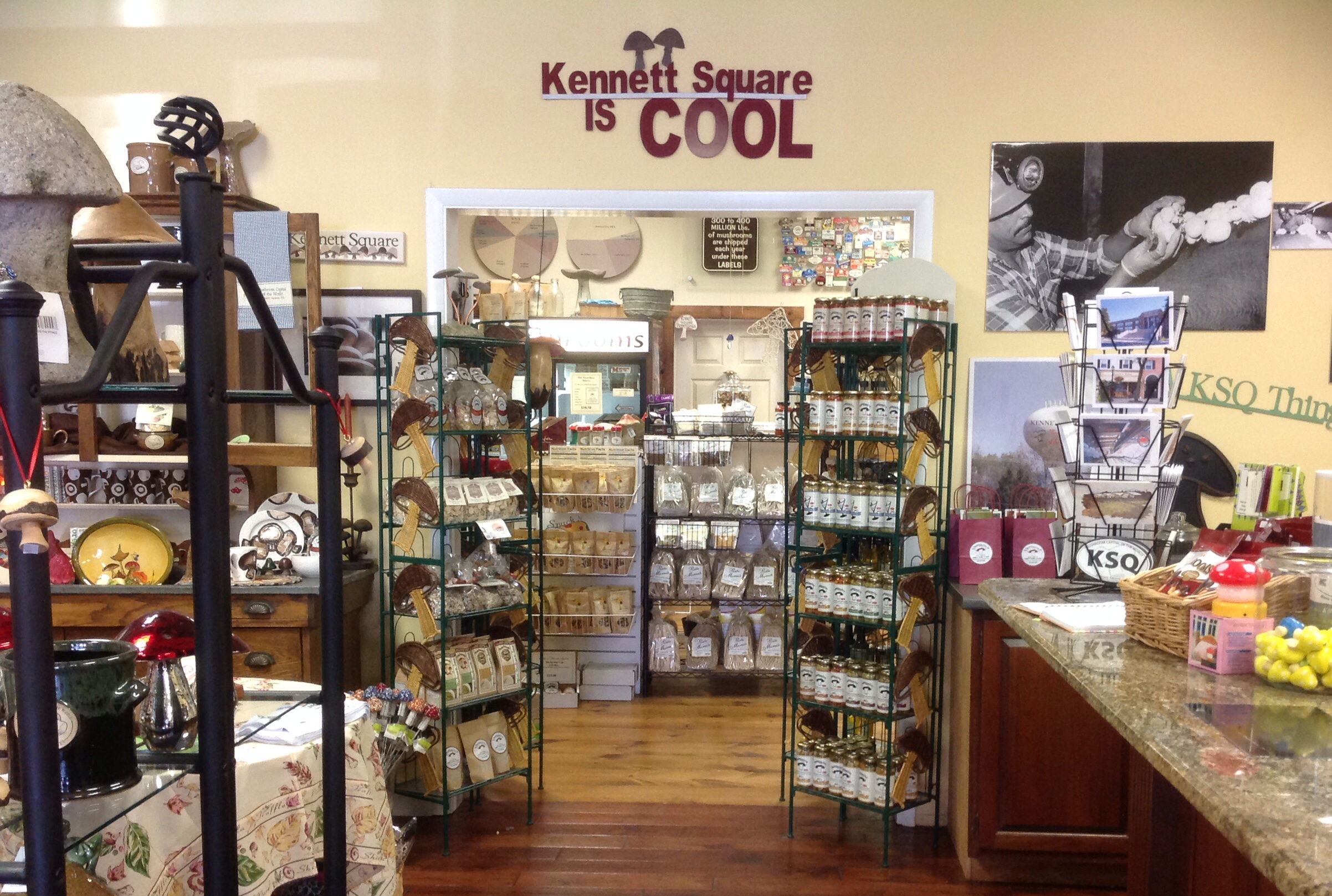 The Mushroom Festival 2021