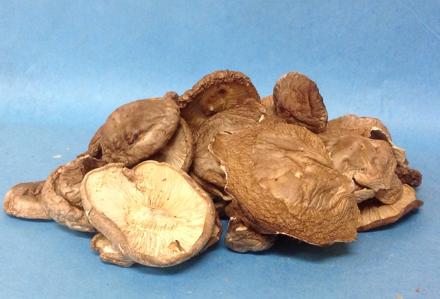 Kennett Square Grown Dried Shiitake Mushrooms | The Mushroom Cap