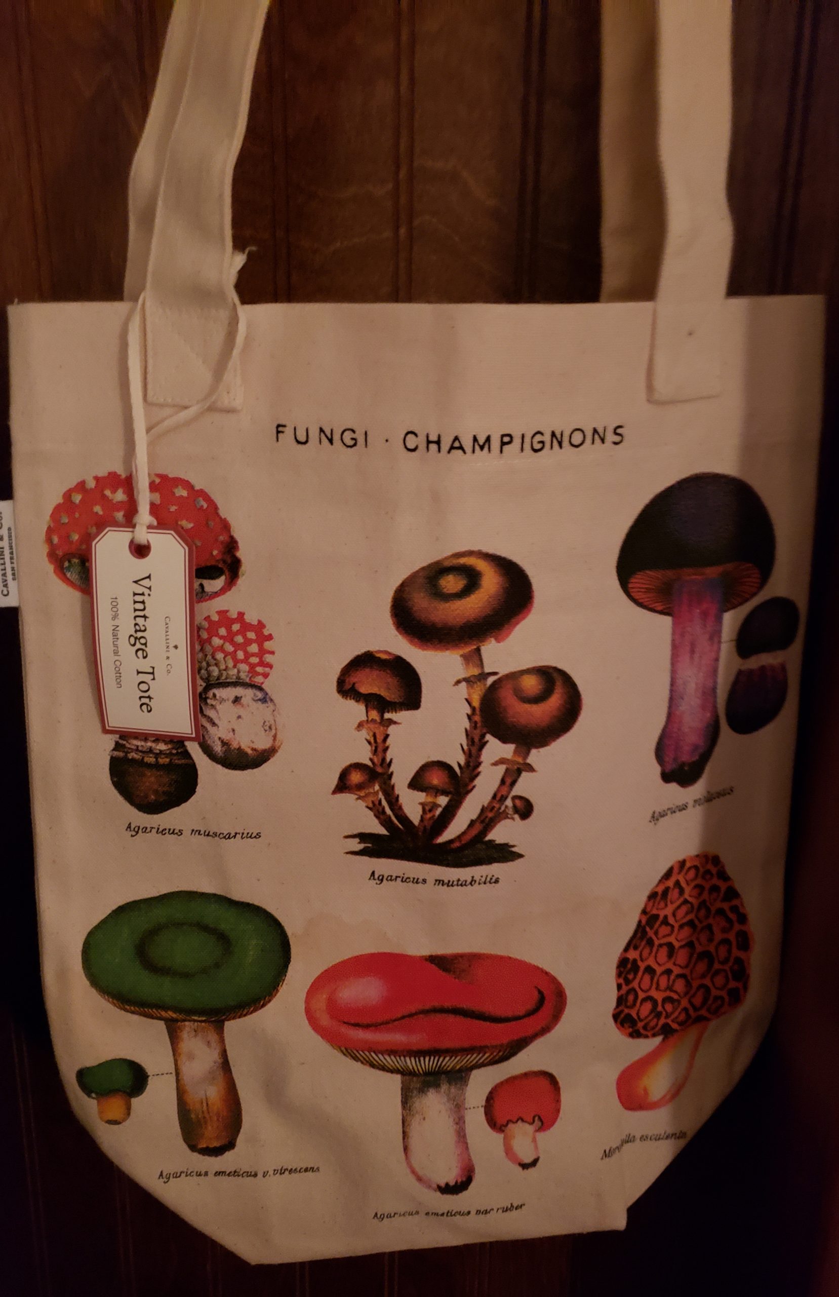 Mushroom Vintage Tote