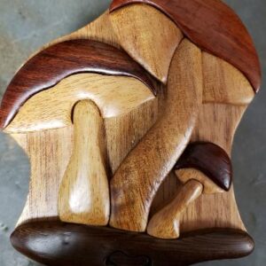 Wooden Mushroom Puzzle